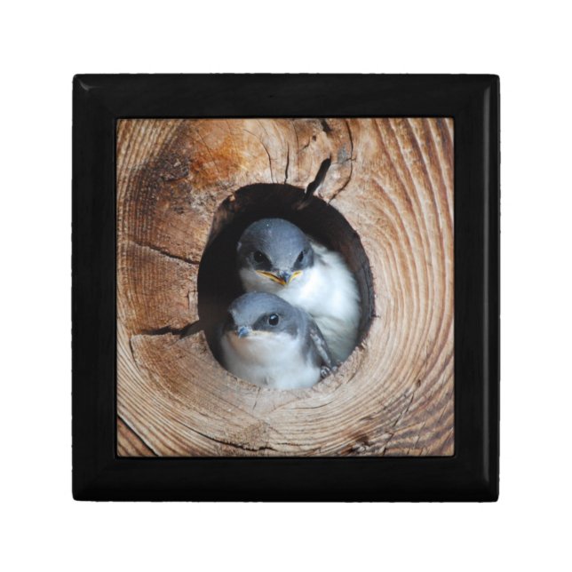 Baby Birds Keepsake Box (Front)