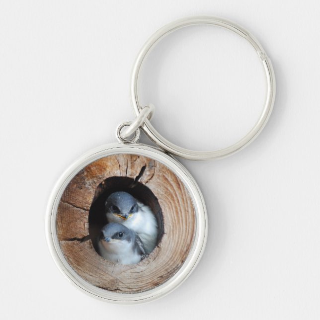 Baby Birds Keychain (Front)