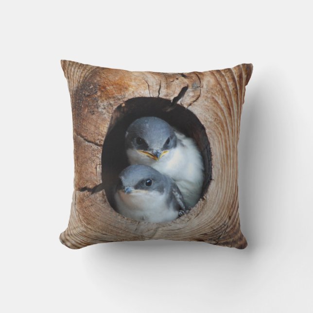 Baby Birds Throw Pillow (Front)