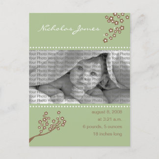 Baby Birth Announcement Sage Green Branch Design