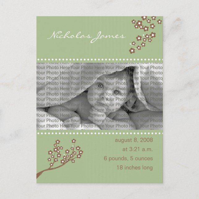 Baby Birth Announcement Sage Green Branch Design (Front)