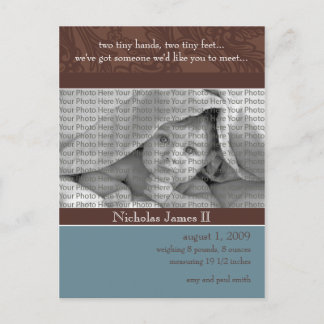 Baby Birth Announcement Teal and Cocoa