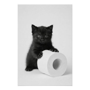 Baby Black Kitten Guarding Toilet Paper Roll On Poster