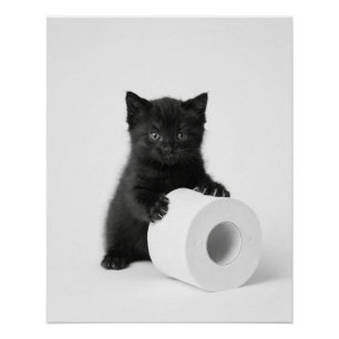 Baby Black Kitten Guarding Toilet Paper Roll On Poster