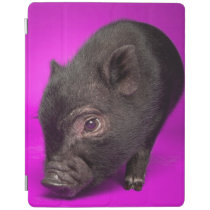 Baby Black Pig iPad Smart Cover