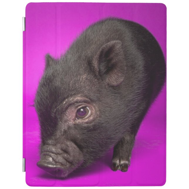 Baby Black Pig iPad Smart Cover (Front)