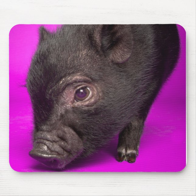 Baby Black Pig Mouse Pad (Front)