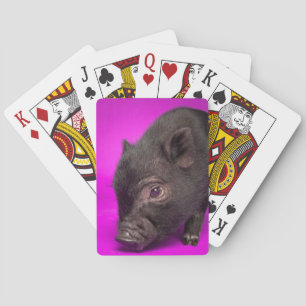 Baby Black Pig Poker Cards