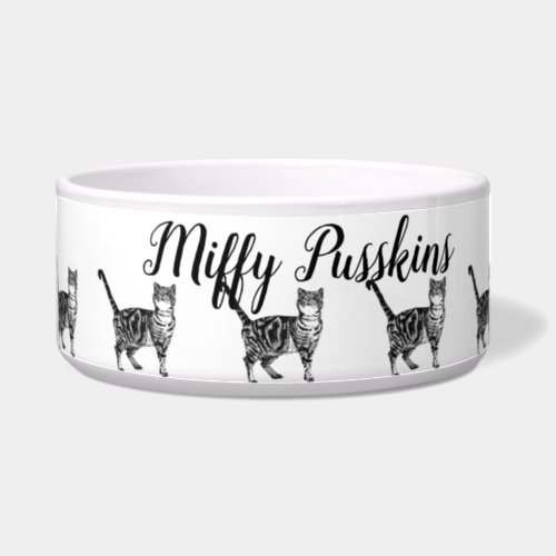 Baby Black White Tabby cat Cats Whimsical Art Bowl