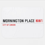 Mornington Place  Baby Blanket