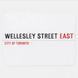 Wellesley Street  Baby Blanket
