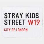 Stray Kids Street  Baby Blanket
