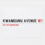 KwaMsunu Avenue  Baby Blanket