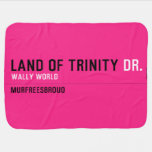 land of trinity  Baby Blanket