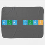 Dum Dums  Baby Blanket