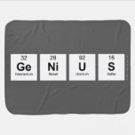 Genius  Baby Blanket