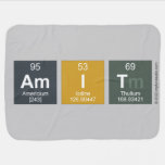 amit  Baby Blanket