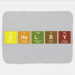Shelby  Baby Blanket