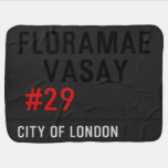 FLORAMAE    VASAY   Baby Blanket