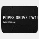 Popes Grove  Baby Blanket