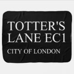 totter's  lane  Baby Blanket