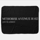 Mthobisi avenue  Baby Blanket