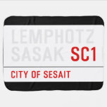 LEMPHOTZ SASAK  Baby Blanket