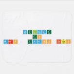 Welcome
 to
 Mrs. Evans Class  Baby Blanket