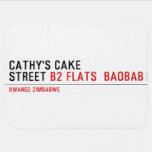 Cathy's Cake Street  Baby Blanket
