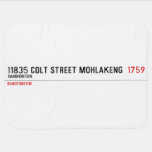 11835 Colt Street Mohlakeng   Baby Blanket