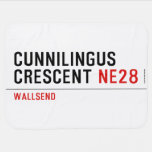 Cunnilingus  crescent  Baby Blanket