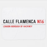 Calle Flamenca  Baby Blanket