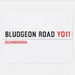 BLUDGEON ROAD  Baby Blanket