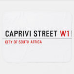 caprivi street  Baby Blanket