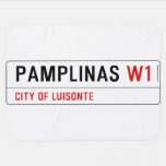 PAMPLINAS  Baby Blanket