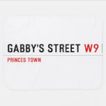 gabby's street  Baby Blanket