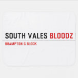 South Vales  Baby Blanket
