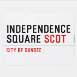 Independence Square  Baby Blanket