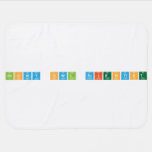 Snowy Owl Scientist  Baby Blanket