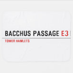 Bacchus Passage  Baby Blanket