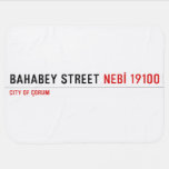 BAHABEY STREET  Baby Blanket