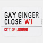 GAY GINGER CLOSE  Baby Blanket