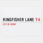 Kingfisher Lane  Baby Blanket