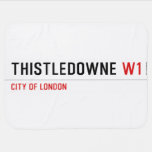 Thistledowne  Baby Blanket