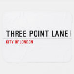 THREE POINT LANE  Baby Blanket