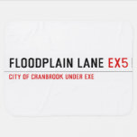 Floodplain lane  Baby Blanket