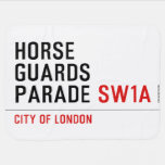 horse guards parade  Baby Blanket
