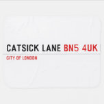 Catsick Lane  Baby Blanket