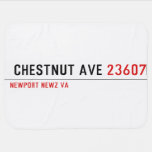  Chestnut Ave  Baby Blanket