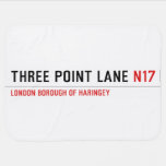 THREE POINT LANE  Baby Blanket
